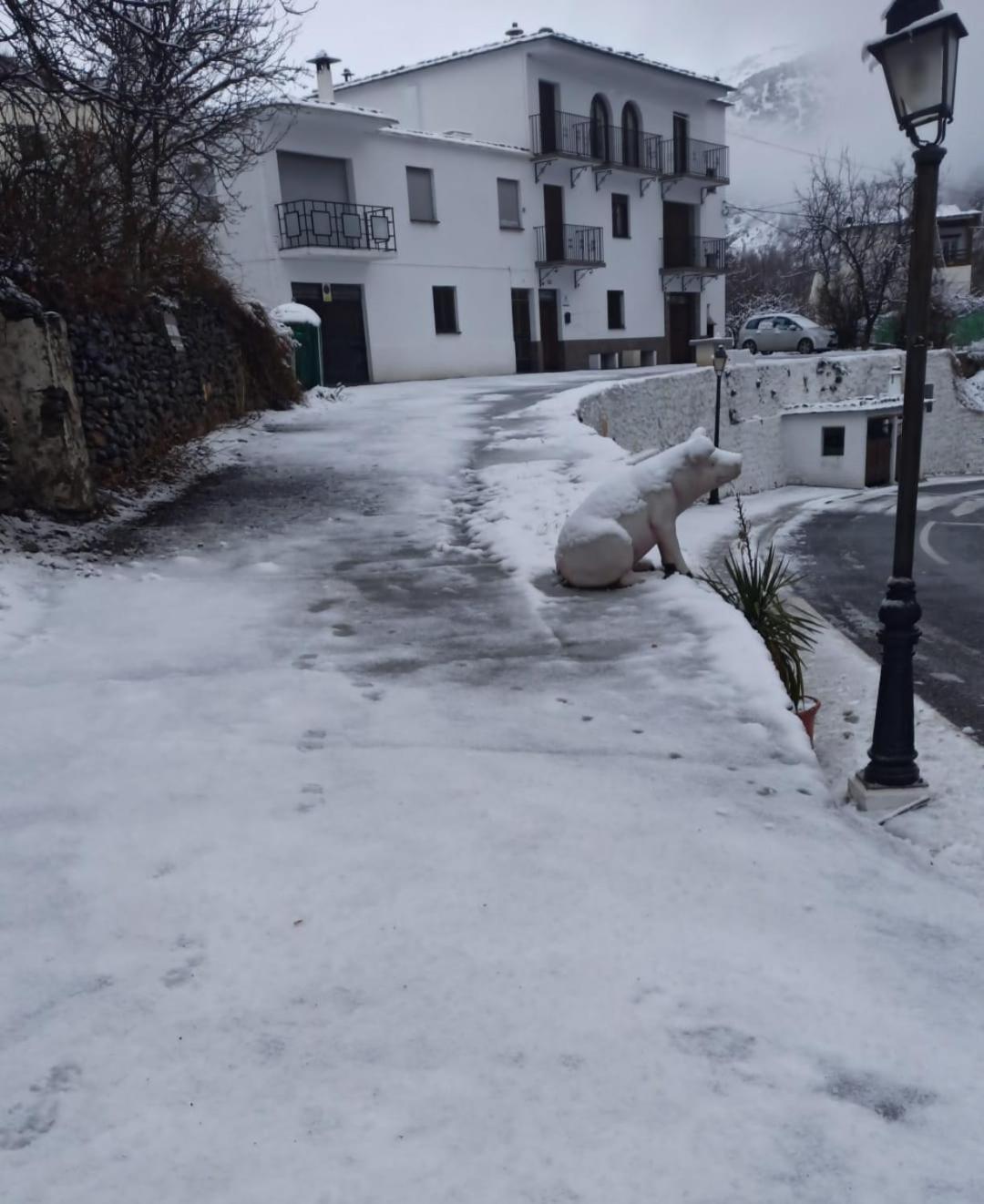 Alojamiento Rural Casa Clara La Pescaora Trevélez 외부 사진